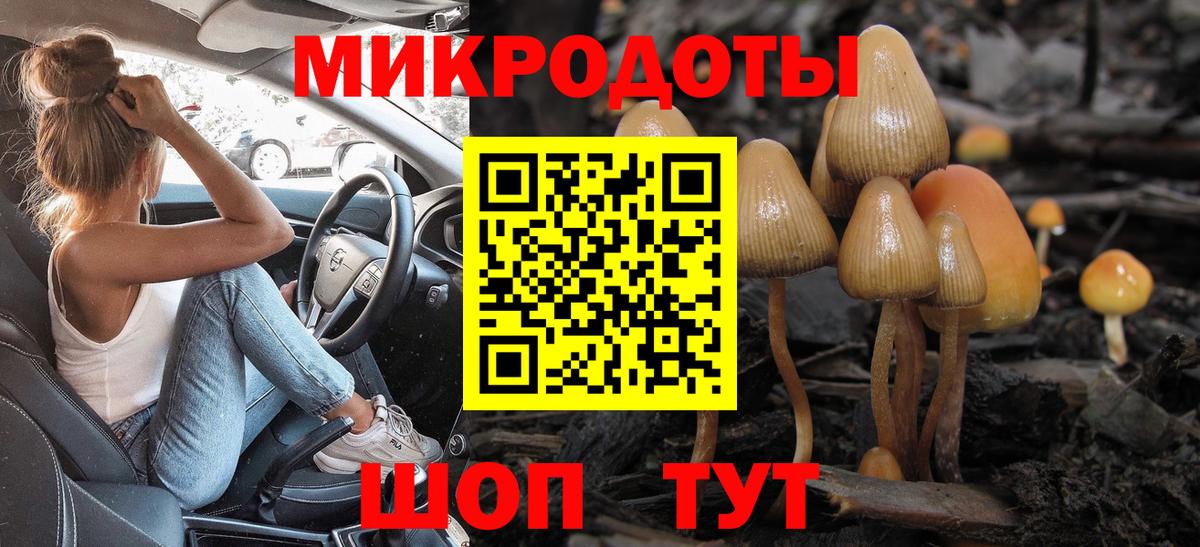 Шатура  где купить   Вход с VPN  Галлюциногенные грибы GOLDEN TEACHER 