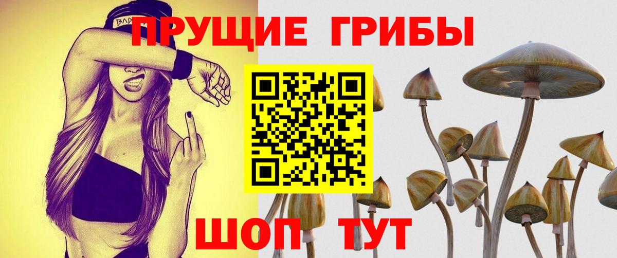 Псилоцибиновые грибы прущие грибы Шатура